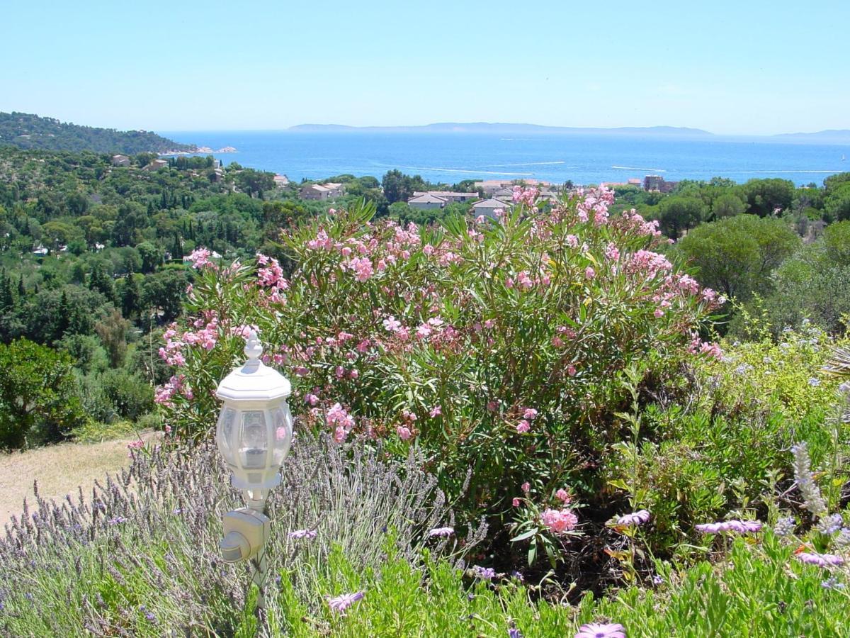 Hotel Azur 3*
